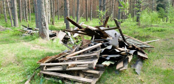 Debris Removal Service in Royal Oak